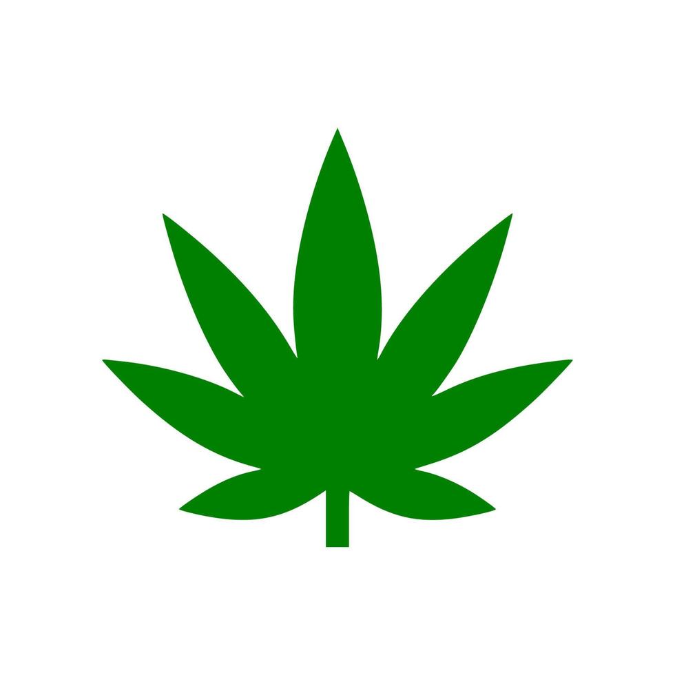 Vector cannabis leaf or hemp or marijuana, herbal plant for medical treatment icon