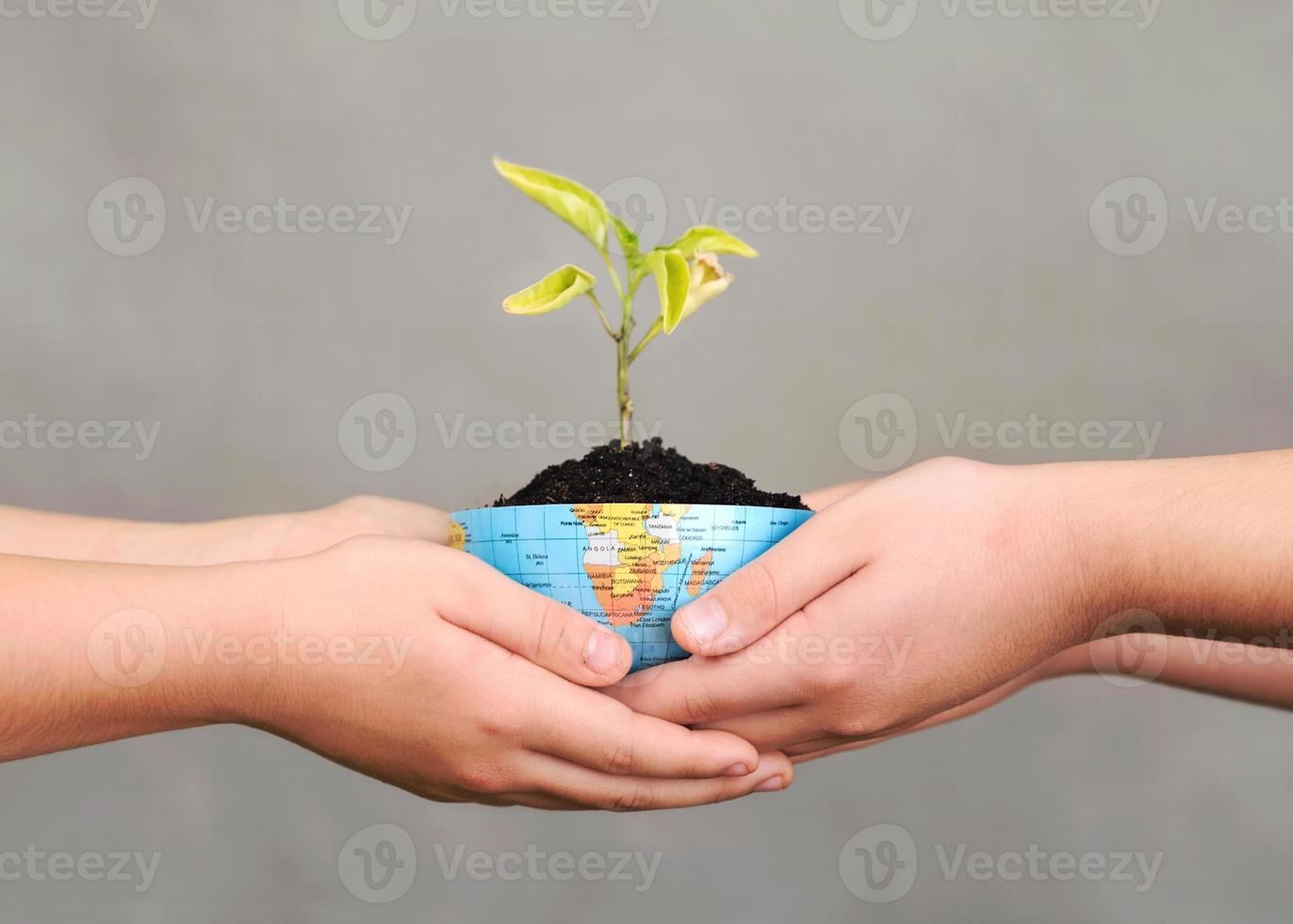 Children hands holding Plant in the the earth globe.Earth conservation concept. photo