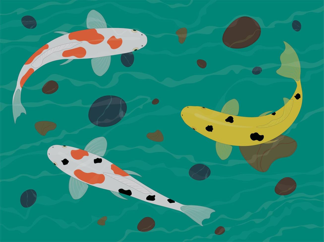 Variegated colored koi carp fish underwater vector illustration