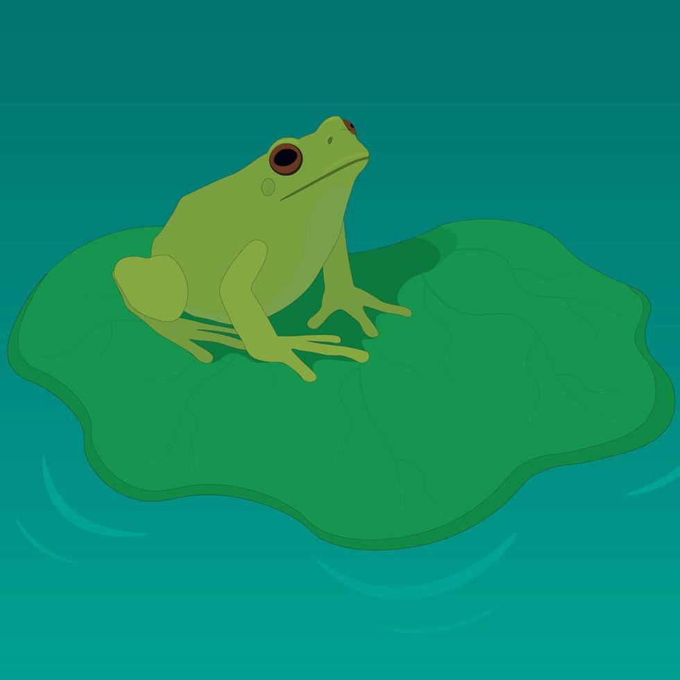 rana verde en la hoja de lirio de agua en la ilustración de vector de estanque