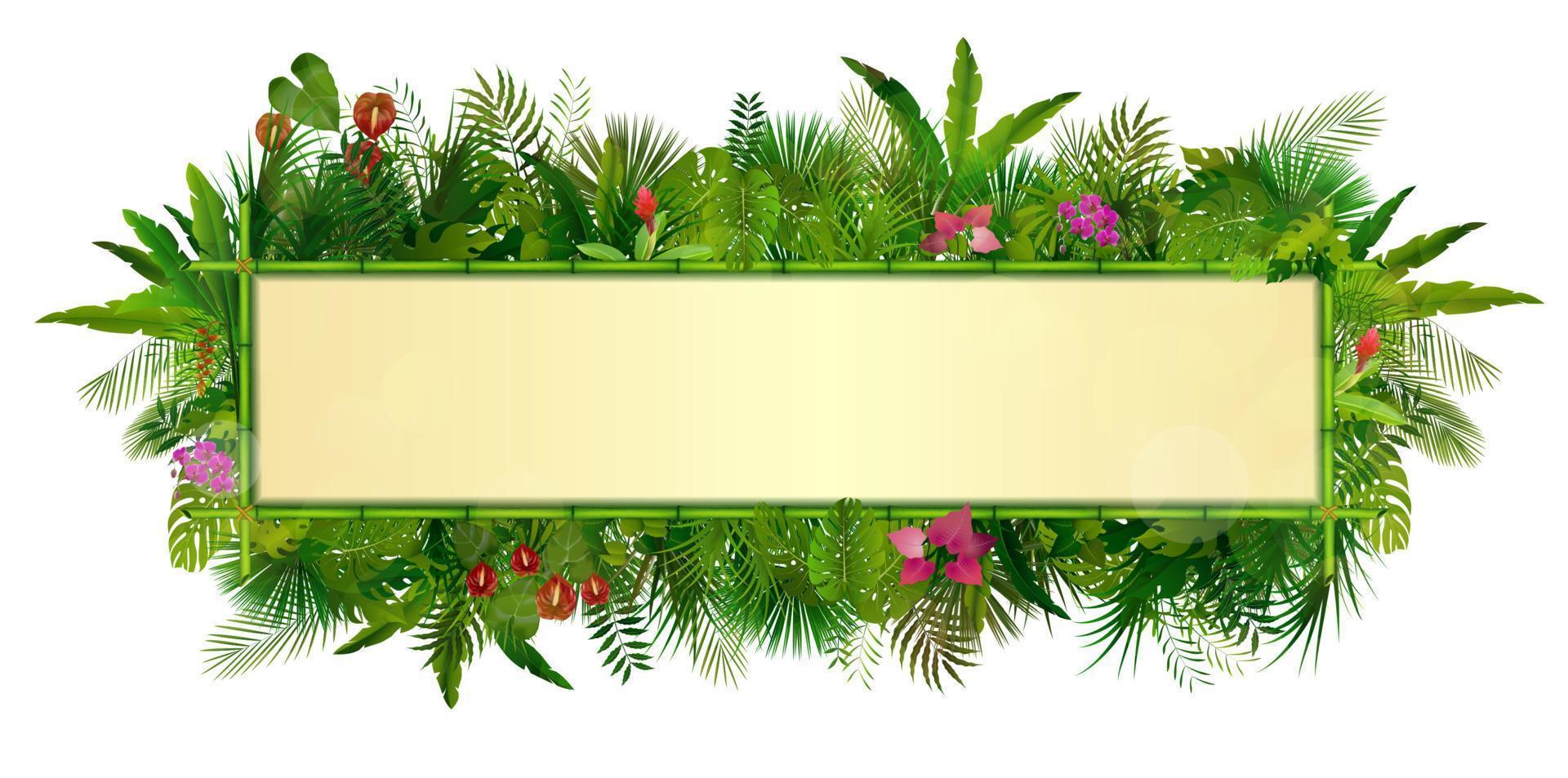Tropical plants background. rectangle floral frame with space for text in concept bamboo vector