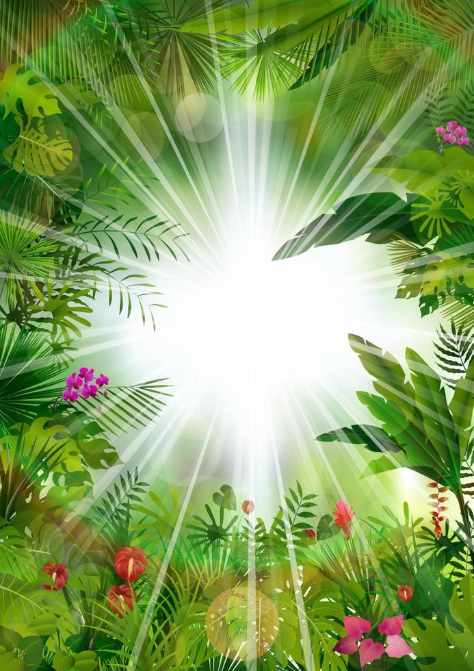 Tropical background beautiful.vector vector