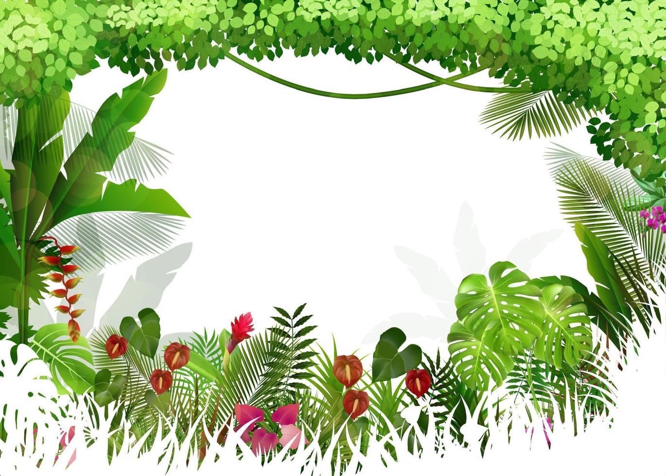 Tropical background beautiful .vector vector