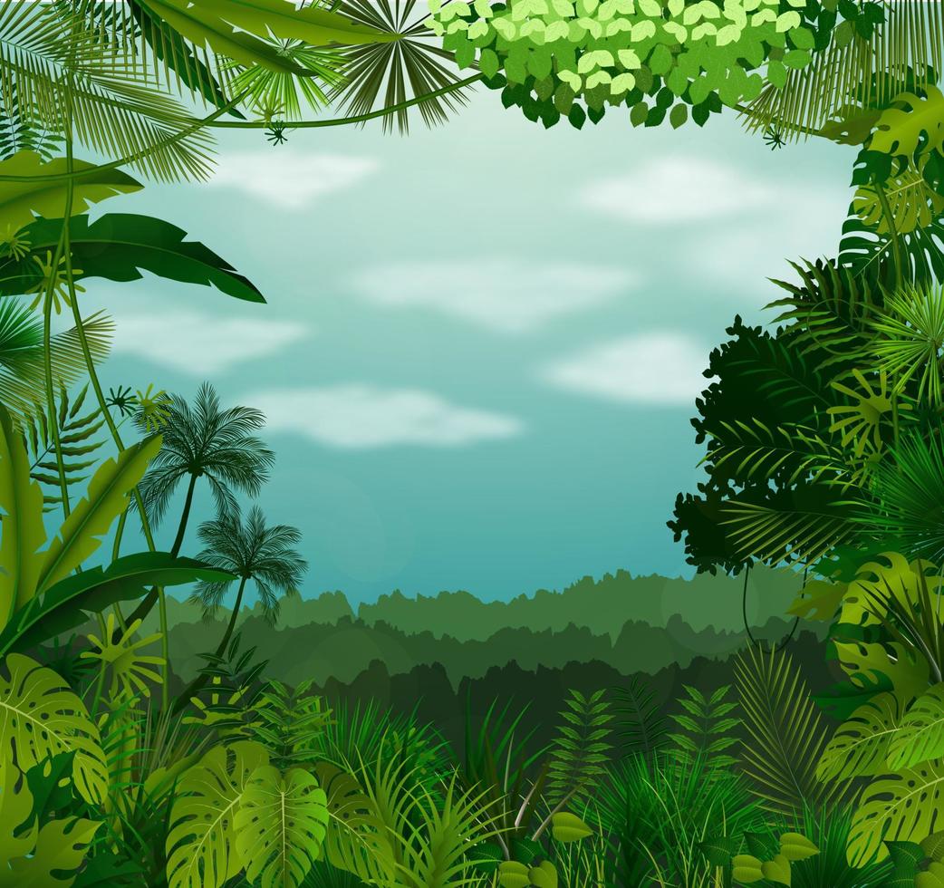 Tropical background beautiful with clouds and sky vector