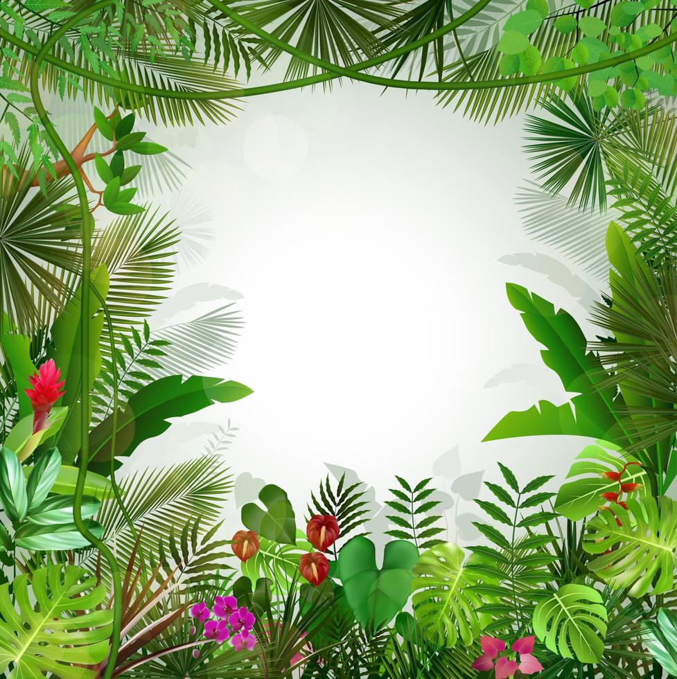 Tropical background beautiful .Vector vector