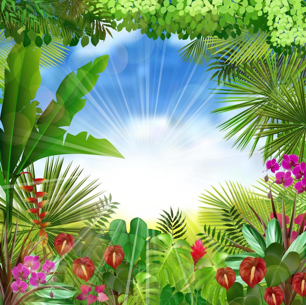 Tropical background beautiful .Vector vector