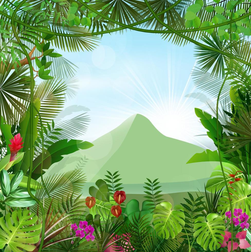 Tropical background beautiful.vector vector