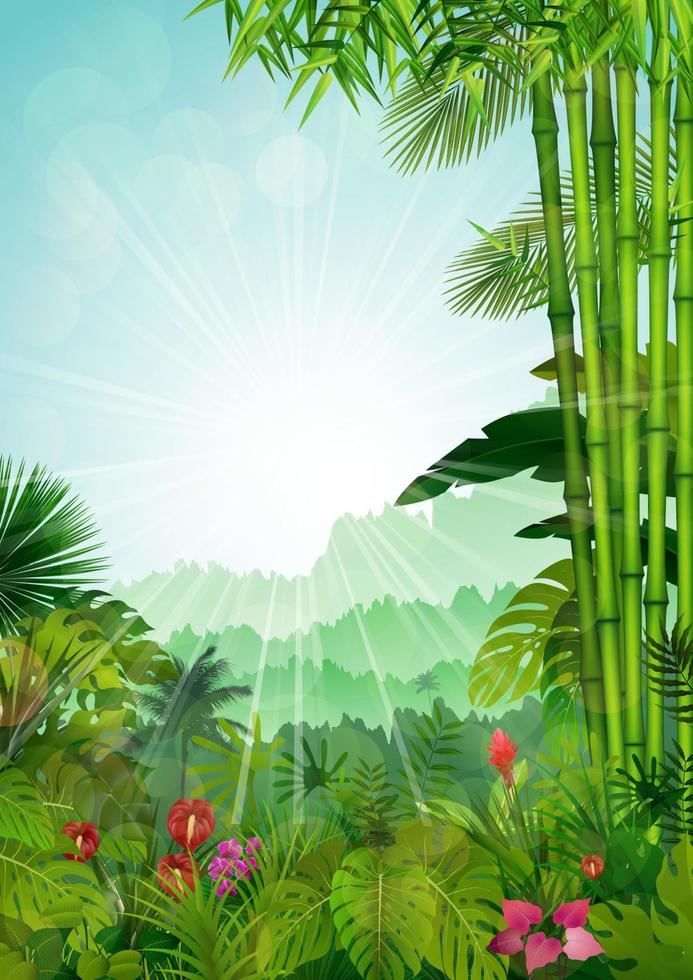 Forest landscape of tropical background with sunrays.vector vector