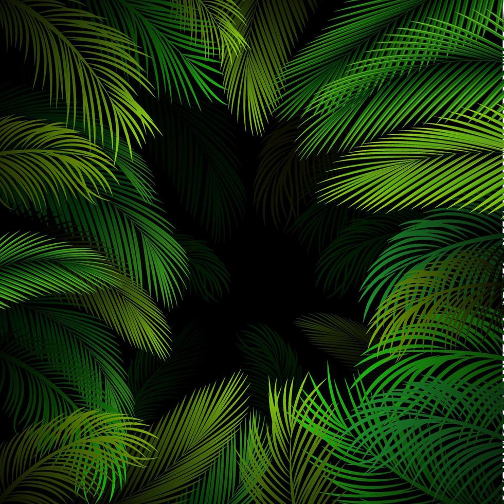 patrón exótico con hojas tropicales sobre un fondo negro.vector vector