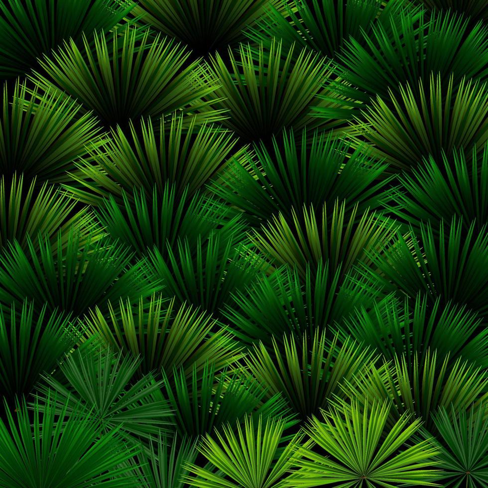 Exotic pattern with tropical leaves on a black background vector