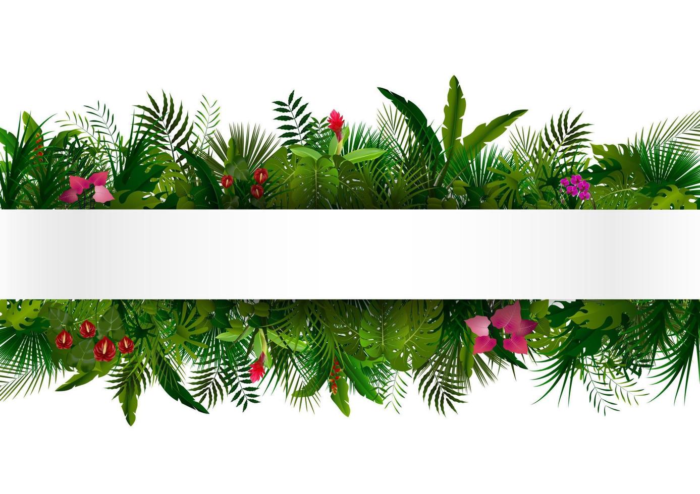 follaje tropical. diseño floral background.vector vector