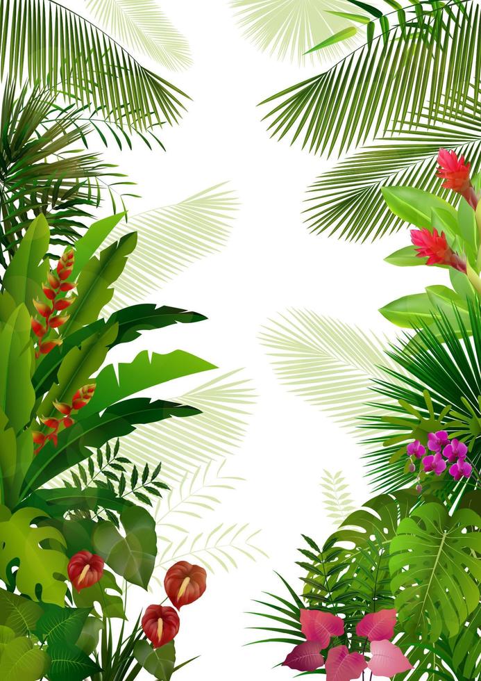 Exotic tropical background.vector vector