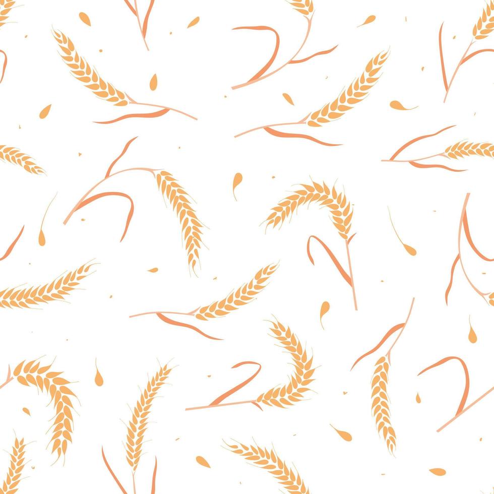 Seamless pattern with whole grain seeds organic, natural ears isolated on white background. vector