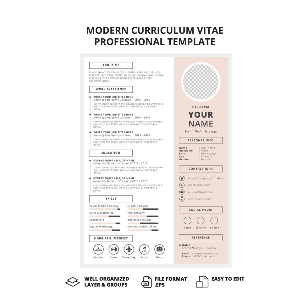 Modern curriculum vitae professional template vector