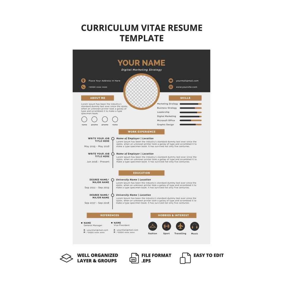 curriculum vitae modelo de curriculum vitae vector