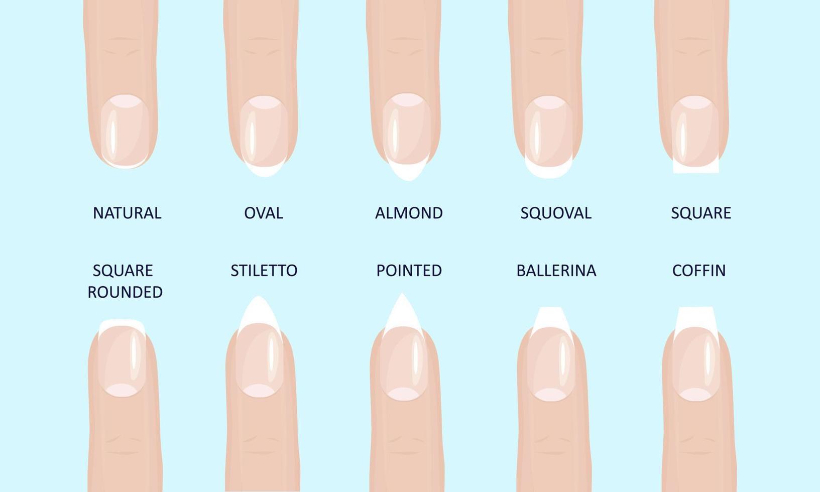 Manicure most popular fashion nail shapes flat style vector ...