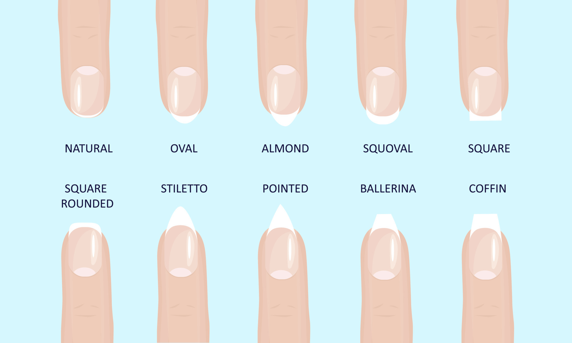 Manicure most popular fashion nail shapes flat style vector illustration set isolated light blue background. 6133564 Vector Art at Vecteezy Manicure most popular fashion nail shapes flat style vector illustration set isolated light blue background. 6133564 Vector Art at Vecteezy