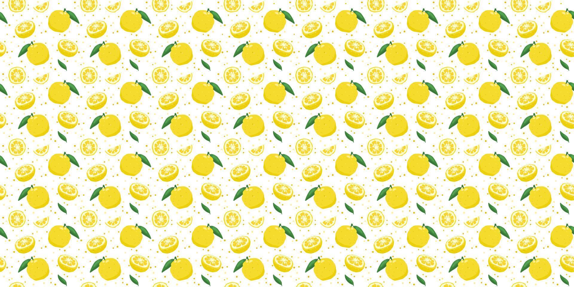 Yuzu japanese citron fruit seamless pattern vector illustration isolated on white background.