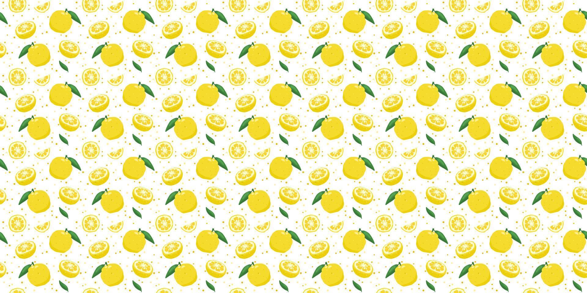 Yuzu japanese citron fruit seamless pattern vector illustration isolated on white background.