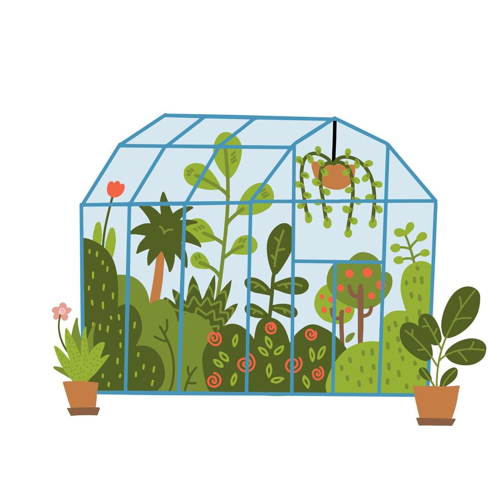 Plants growing in pots or planters inside glass greenhouse. Glasshouse or botanical garden. Concept of home gardening. Modern flat vector hand drawn illustration.