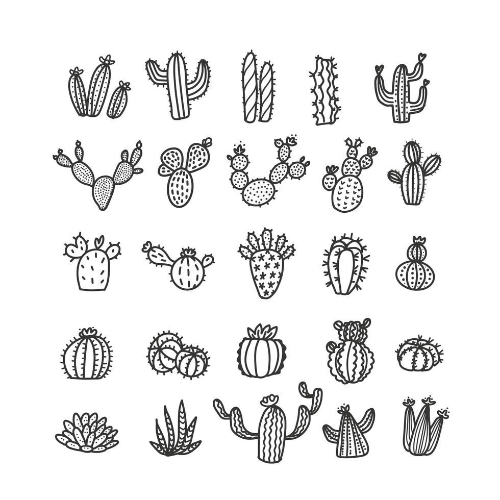 Set of cacti in trendy mono line style - art deco. It can be used as a stamp, postcard or print. Outlined vector cactuses illustration. Desert flowers withoup pots.