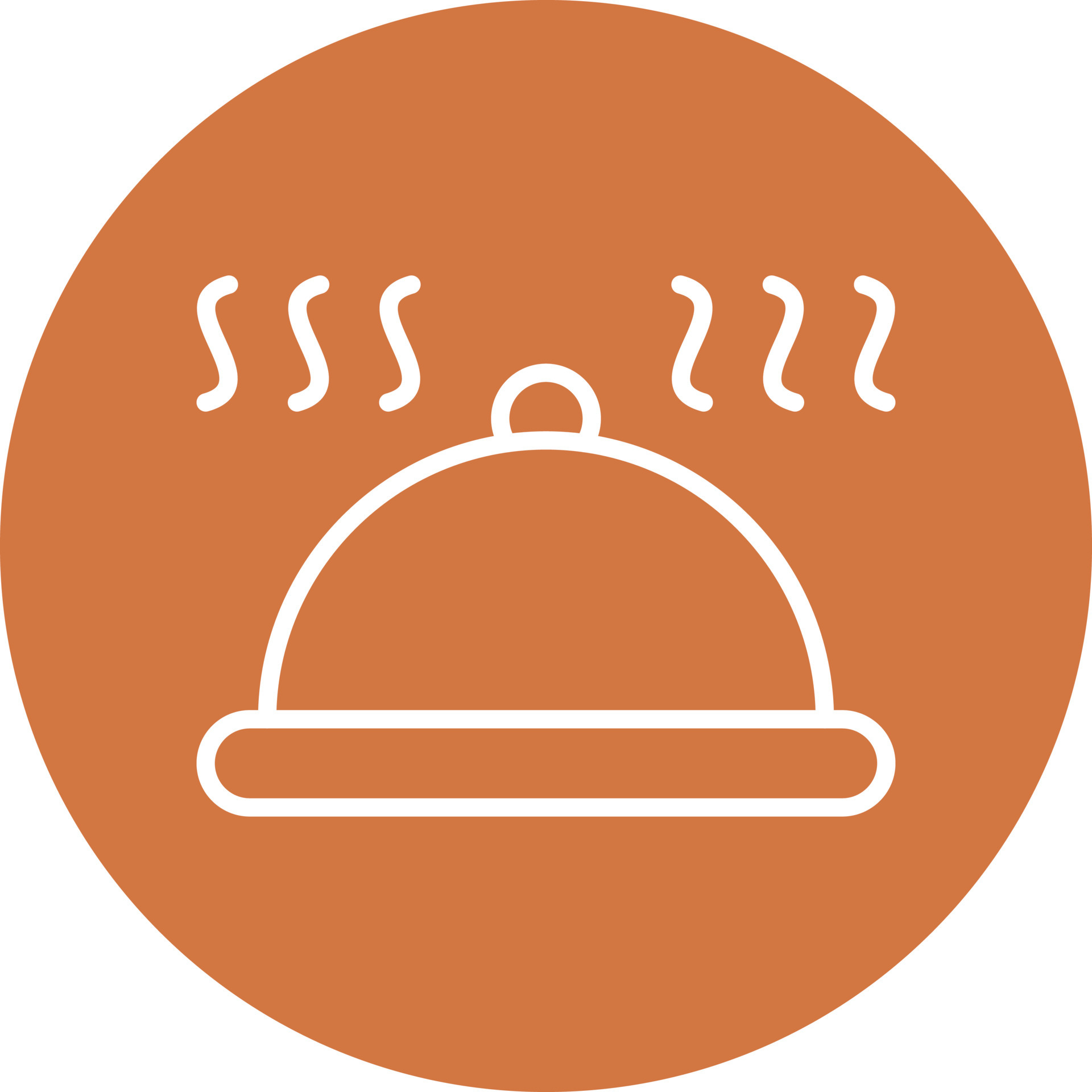 Platter Icon Style 6135577 Vector Art at Vecteezy