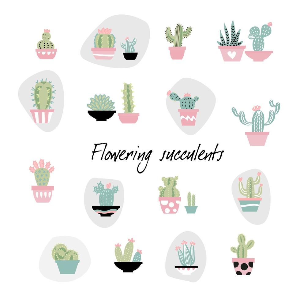 Set of succulents in hand drawn scandinavian style. Set of contemporary house plants in cute ornate pots. Poster, banner, greeting card, print isolated elements. Vector color illustration