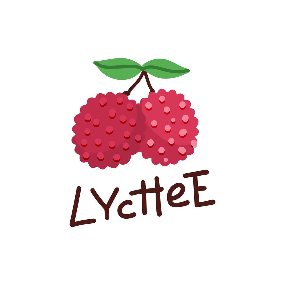 Vector illustration on the theme of the logo for Lychee, consisting of two fruits on branch with leaves, still life composition. Hand drawn colorful flat vector illustration with lettering text.