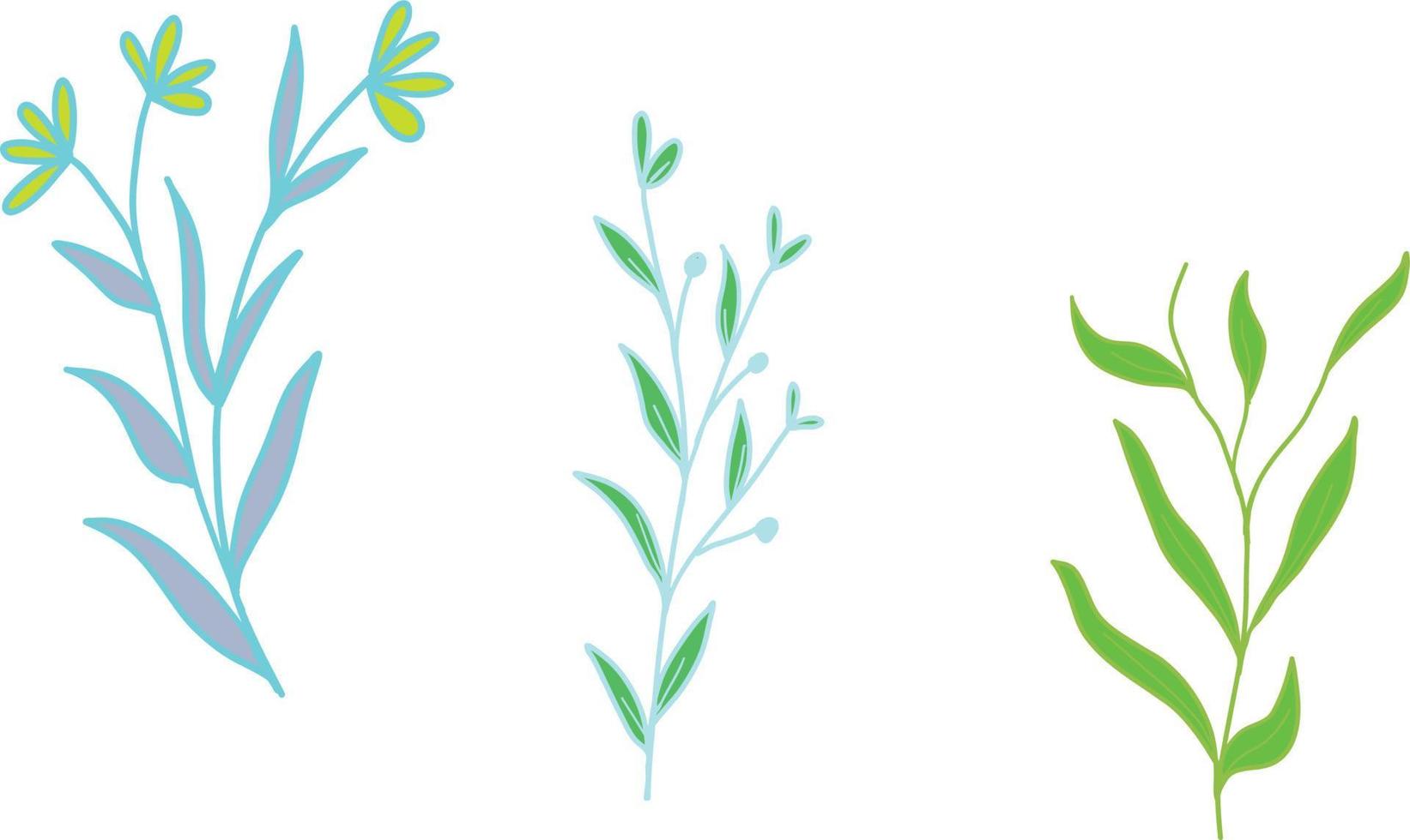 Flower branches vector