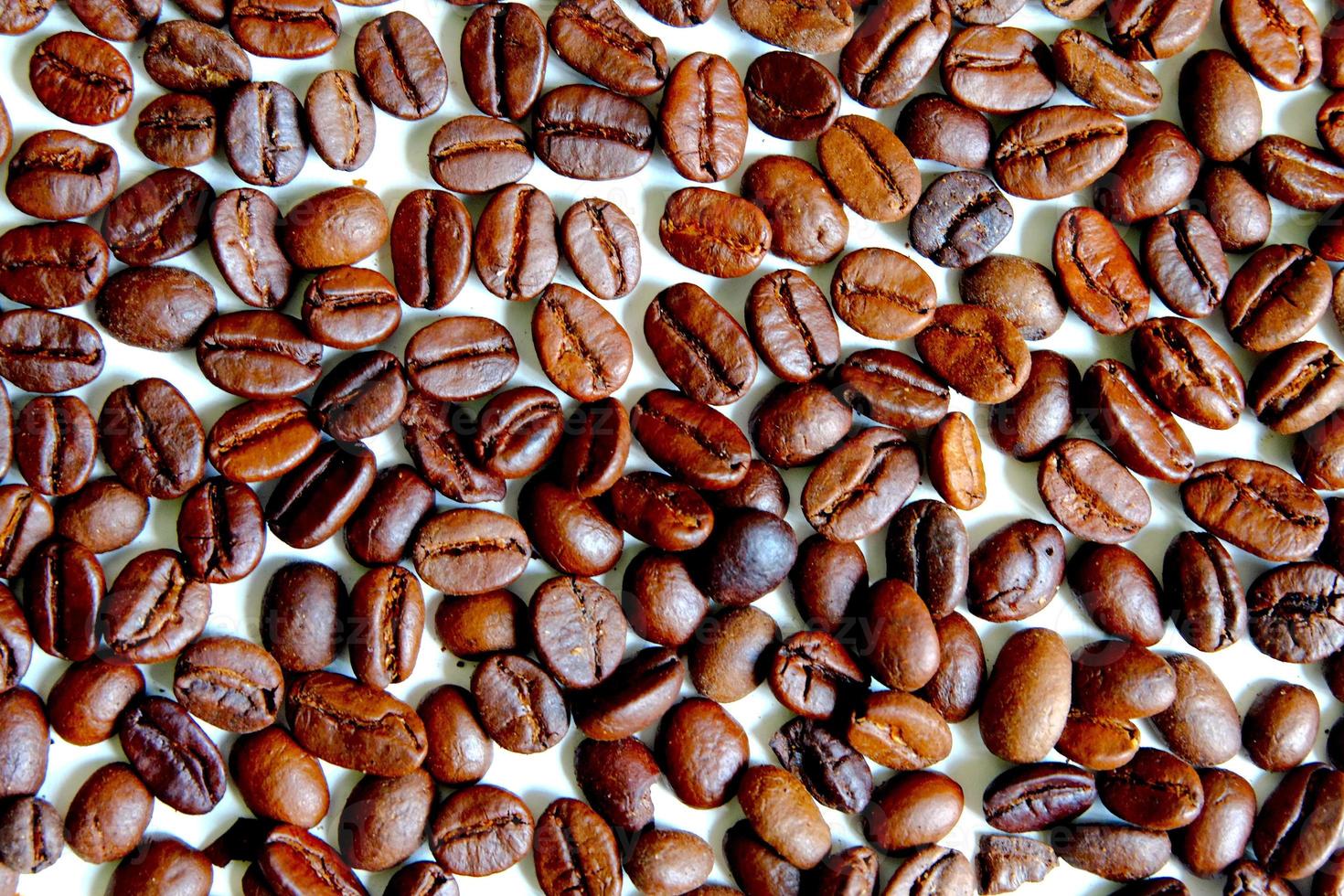 Coffee beans seamless background photo