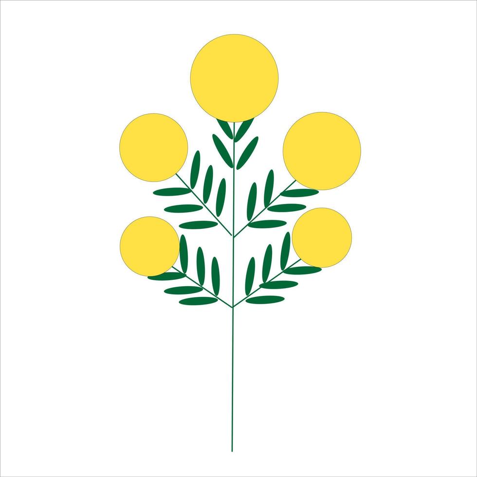 a sprig of mimosa vector, a flower of spring. vector