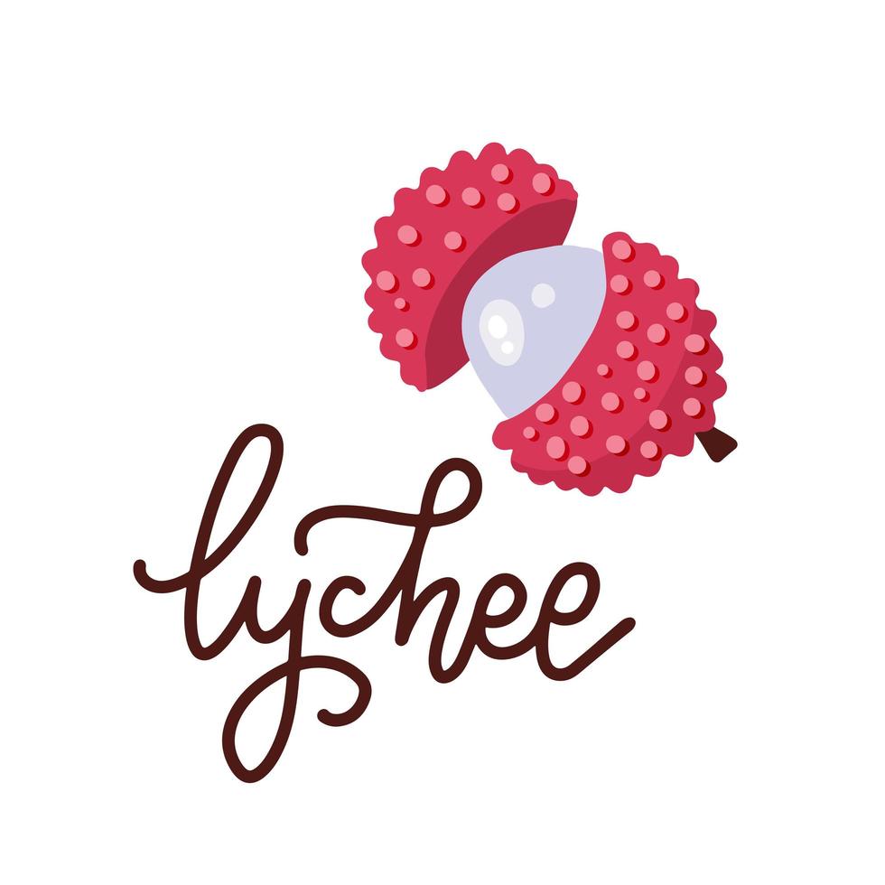 Summer tropical fruits for healthy lifestyle. Open Lychee fruit. Vector illustration cartoon flat icon isolated on white with lettering text