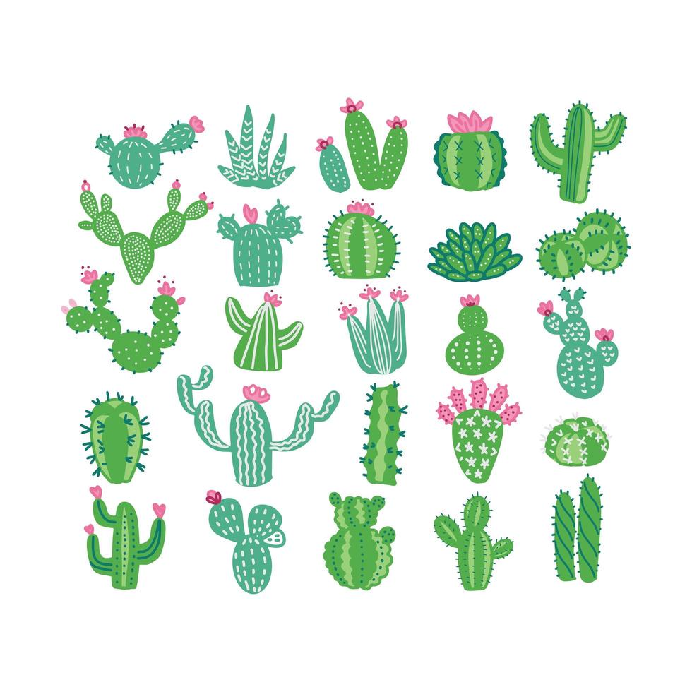 Hand drawn fllat vector illustration of cacti without pots , home plants, succulents.