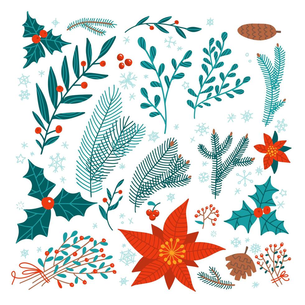 conjunto floral navideño de elementos de diseño: poinsettia, acebo, ramas de pino, muérdago, ramo de ramas. plantas y flores de invierno. ilustración vectorial plana. acogedora decoración navideña aislada en blanco. vector