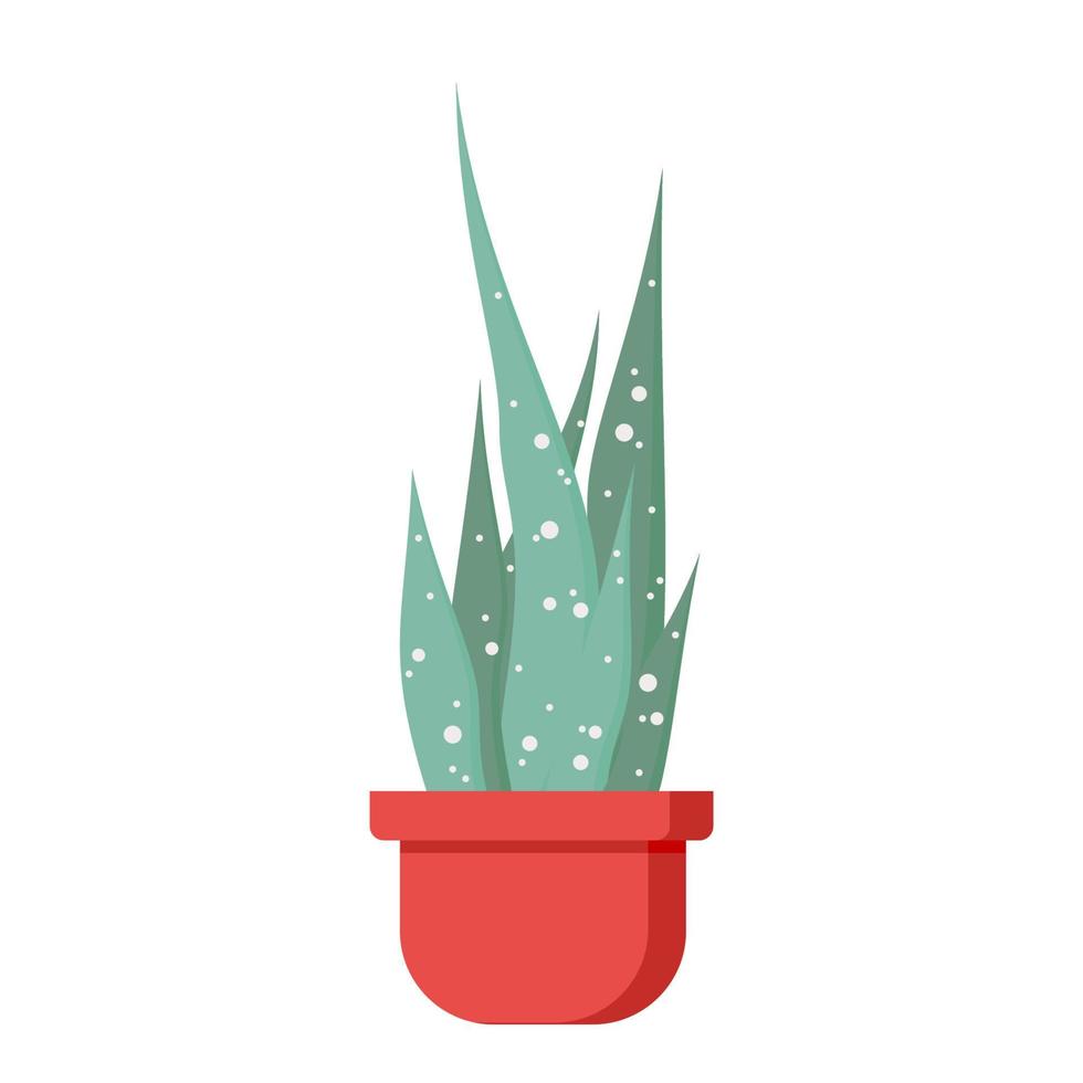 Ornamental plant potted in container for use indoors as houseplant and decoration. Flat vector illustration for your design isolated on white background. Sansevieria, snake plant icon.