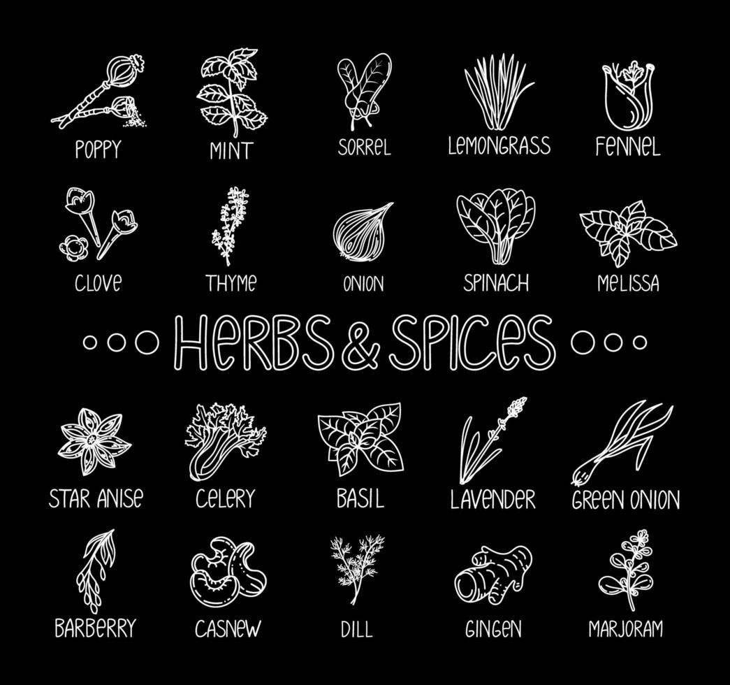 Herbs and spices icons, drawn element in doodle style. Template package design on a black background. Logo or emblem - herbs and spices - poppy, cashew, vanilla, anise, etc. Logo in fashion line vector
