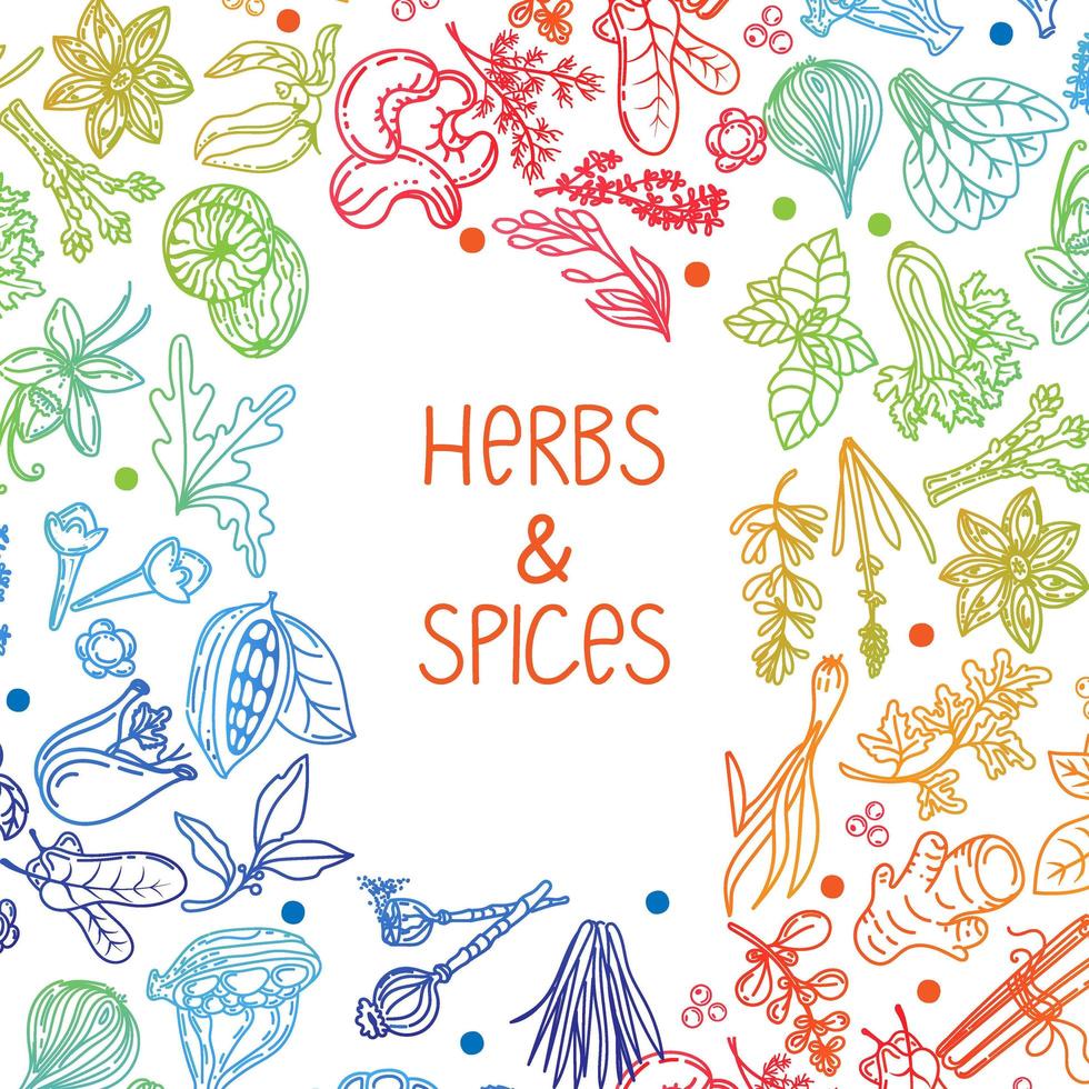 Hand-drawn herbs and spices in a doodle style. Elements in a circle on a white background. Rainbow. Handwritten lettering. Nuts, spices and herbs. Pepper peas. Flat style vector. vector