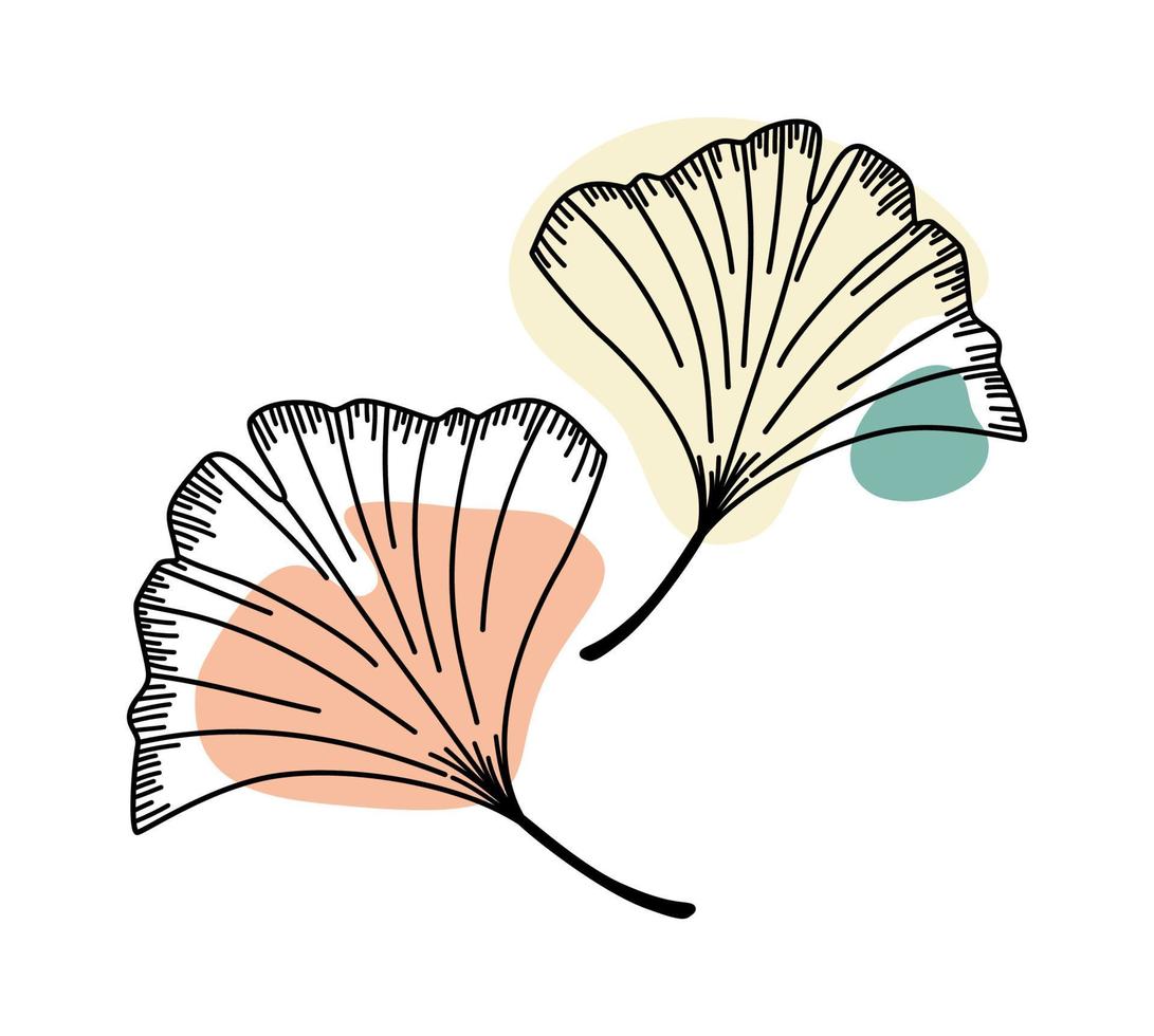 Ginkgo biloba leaves silhouette vector illustration.  Black contoured floral elements with abstract geometric shapes. Minimalist print for home decor.