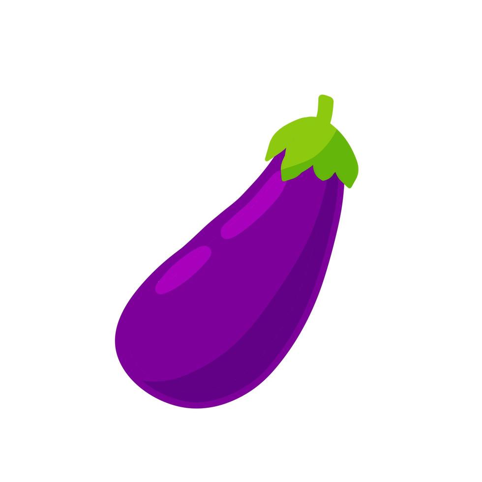 Eggplant. Purple vegetable. vector
