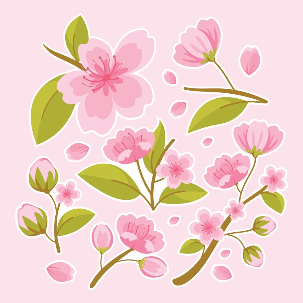 conjunto de pegatinas de flor de cerezo vector