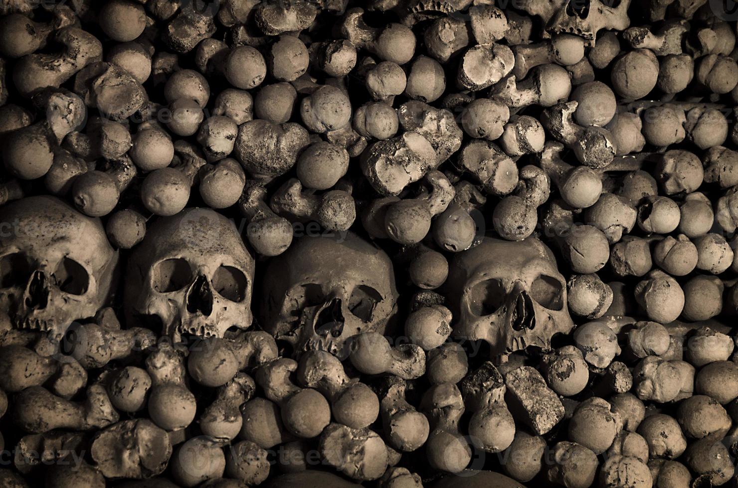 huesos y cráneos humanos. hilera de calaveras. colección de calaveras foto