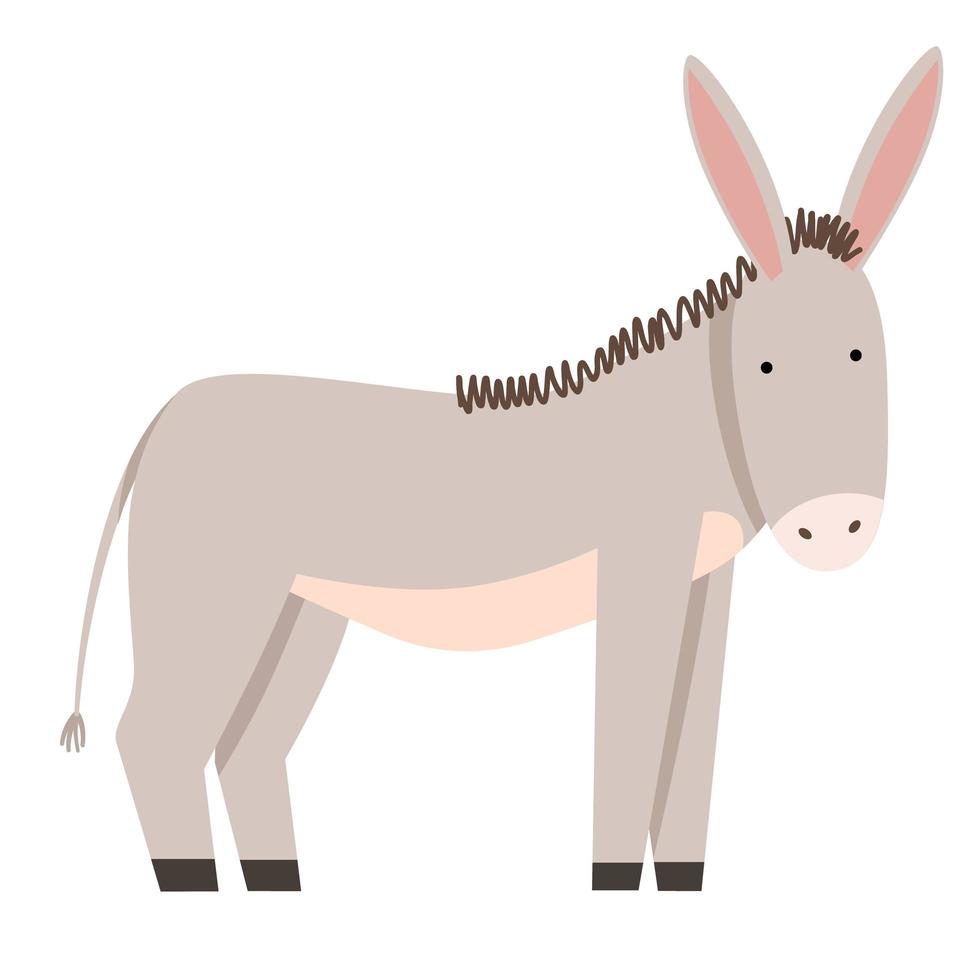 Vector illustration of a gray donkey in a flat style