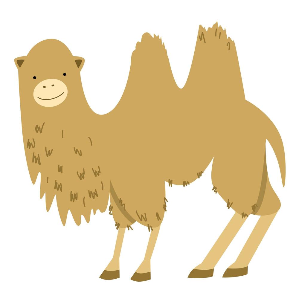 vector illustration of a camel in a flat style