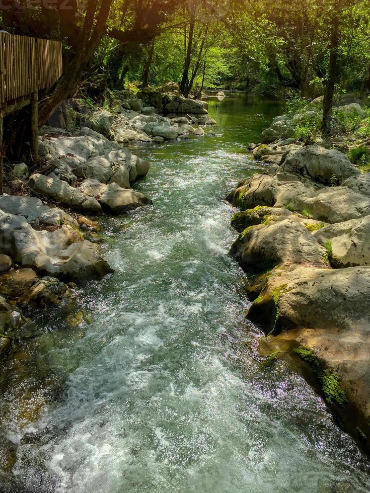 Waterfall in the forest, stream in the forest, river water in a forest photo