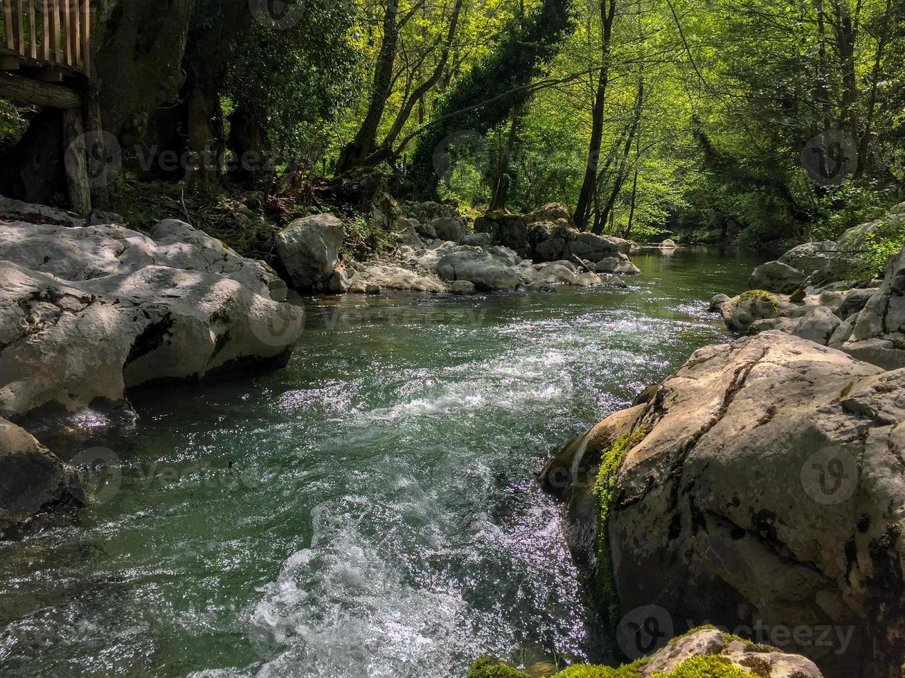 Waterfall in the forest, stream in the forest, river water in a forest photo