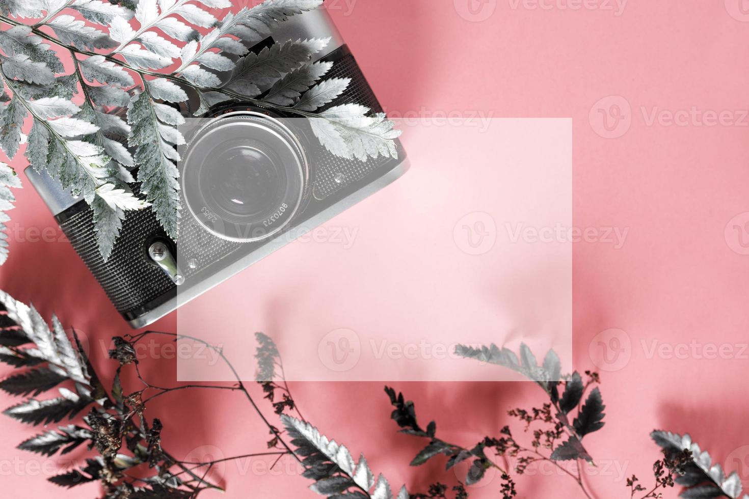 blank for decorating postcards or a gift certificate for a photographer. Old camera on a pink background with gray dried flowers and space for text photo