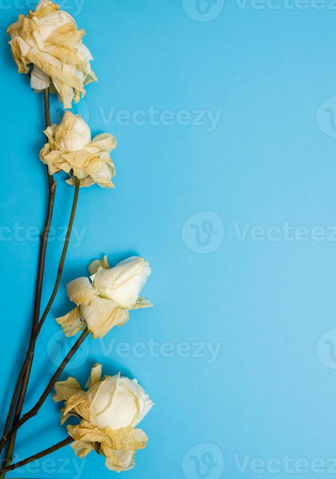 flores viejas flores secas sobre un fondo coloreado para el diseño de postales negativas o sobre el tema de la naturaleza moribunda foto