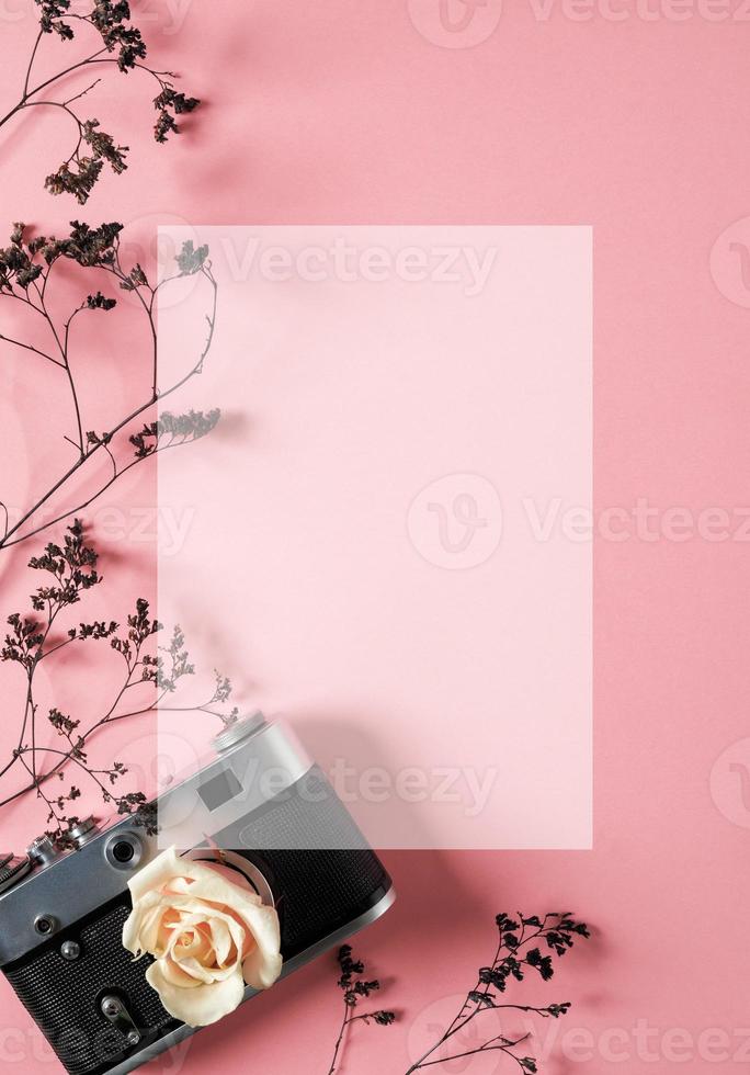 blank for decorating postcards or a gift certificate for a photographer. Old camera on a pink background with gray dried flowers and space for text photo