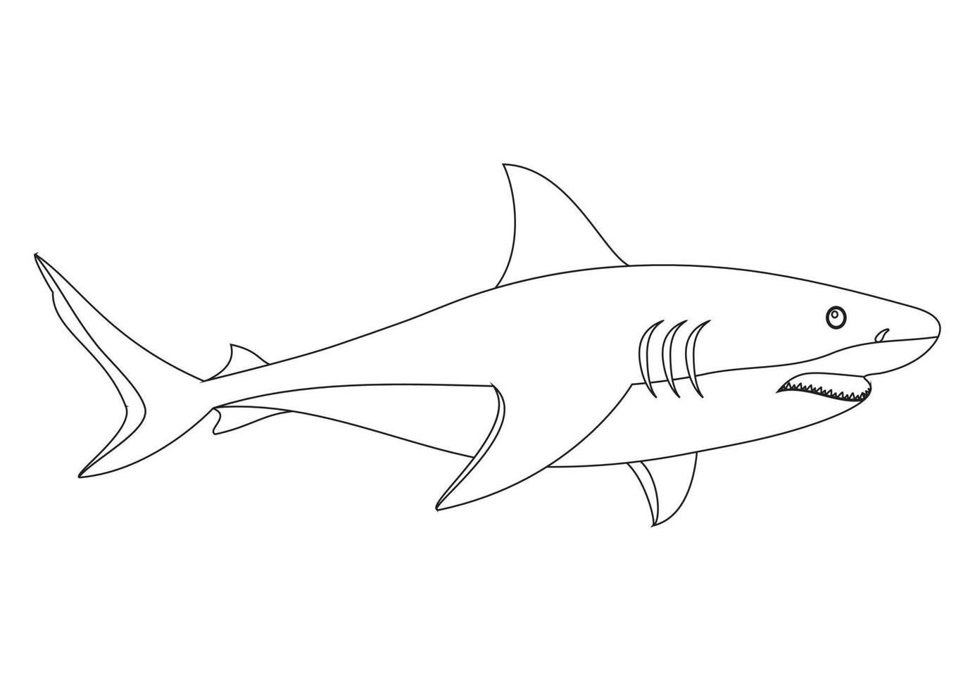 Black and White Vector Illustration of Shark isolated on white Background