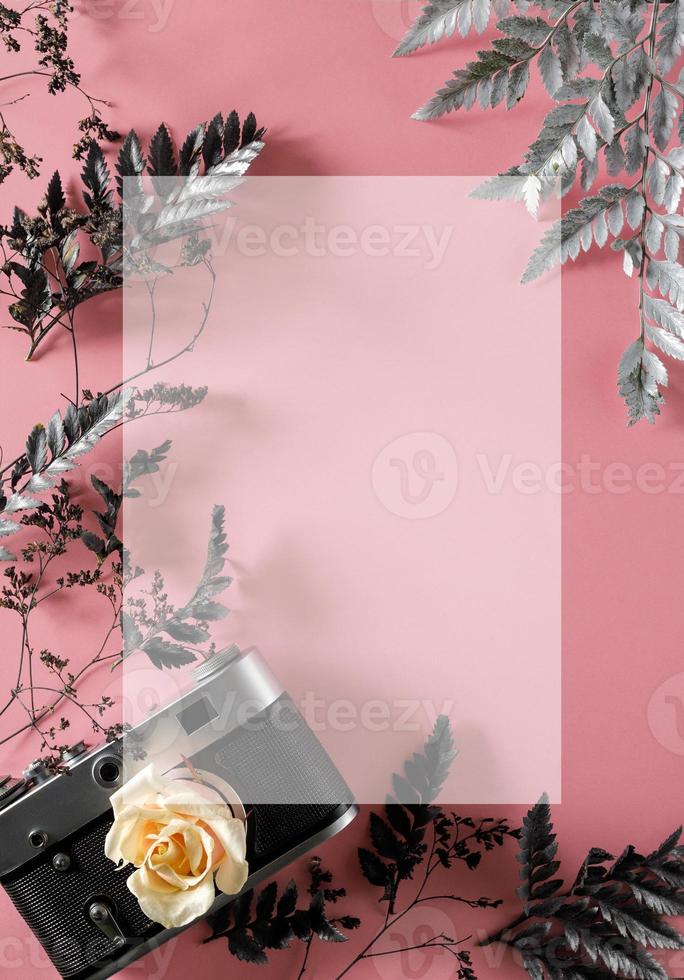 blank for decorating postcards or a gift certificate for a photographer. Old camera on a pink background with gray dried flowers and space for text photo